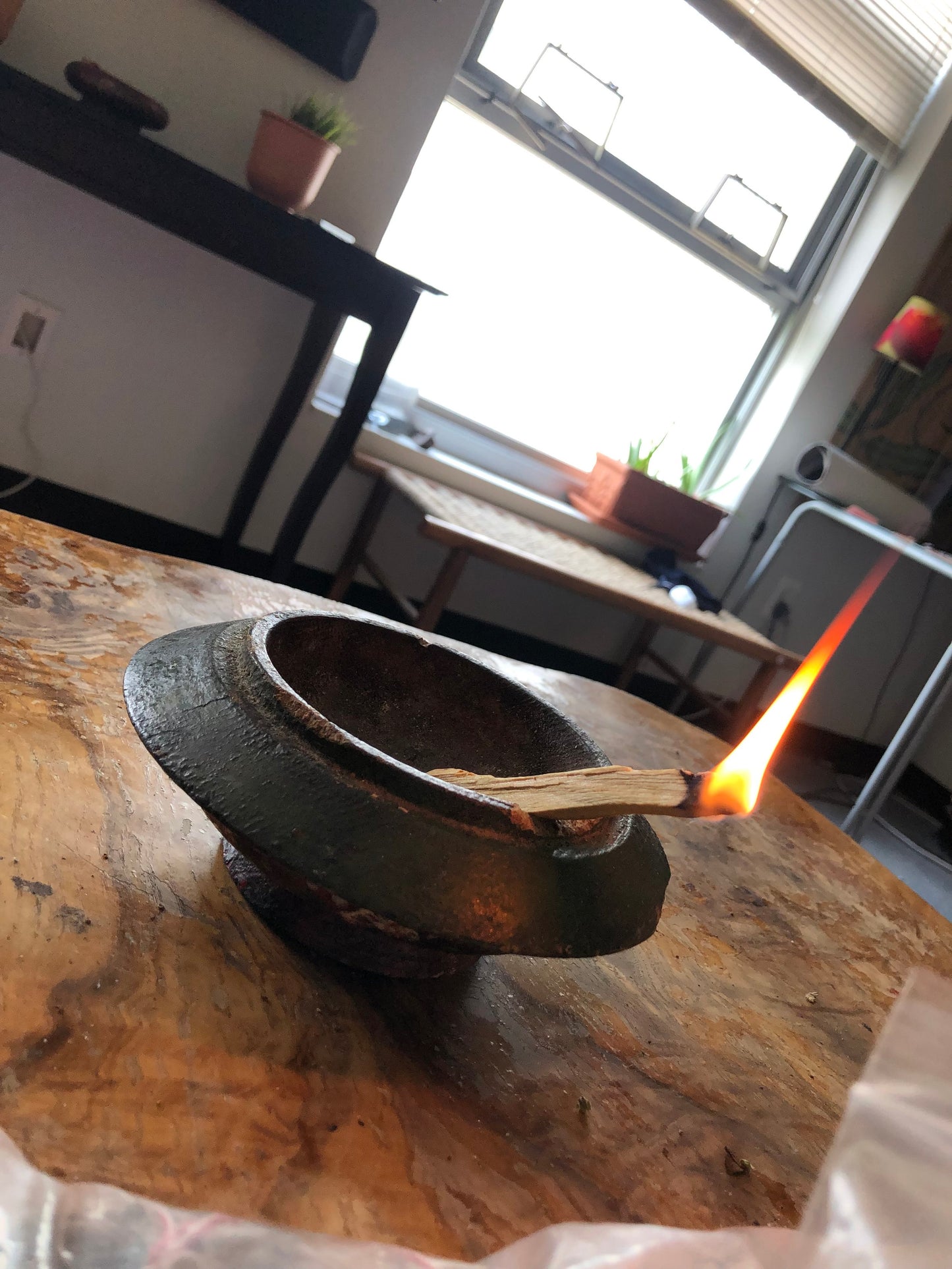 Palo santo stick