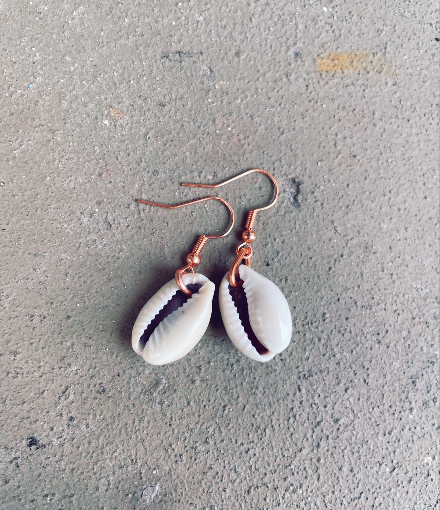 Cowrie Earrings